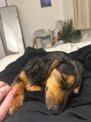 Max Littlechild