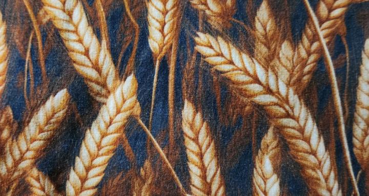 The Practical Producer