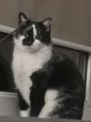 Maksymilian Kałużyński