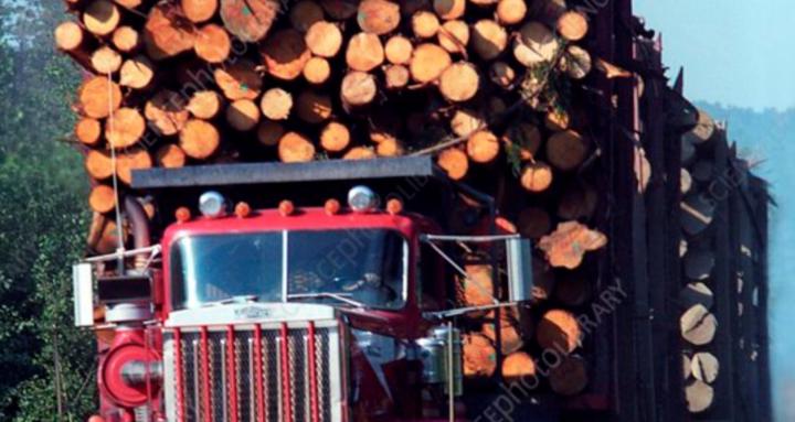 Trucking and Trucking company