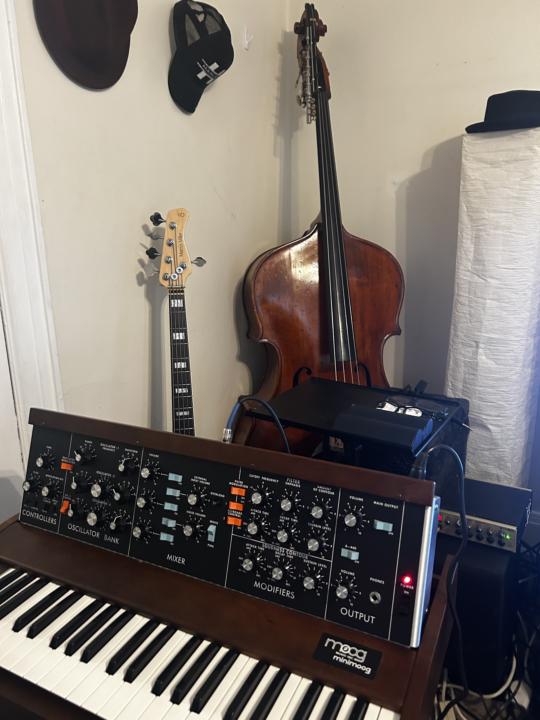 New Gear for the Key Synth Bass ….. Moog Model D ! Old School 