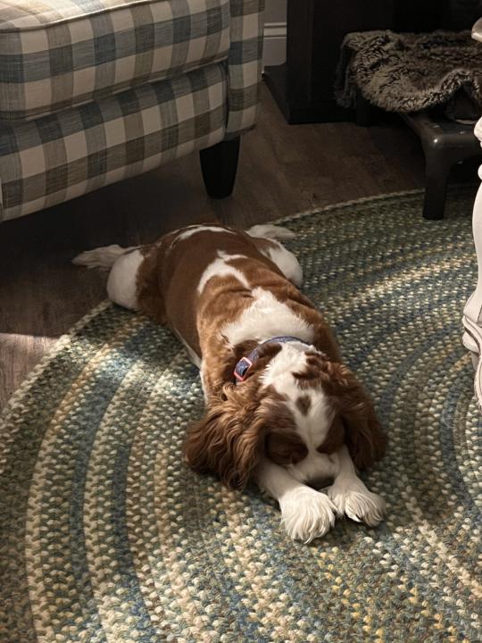 Prayer changes things 