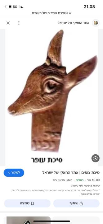 מתן קולר