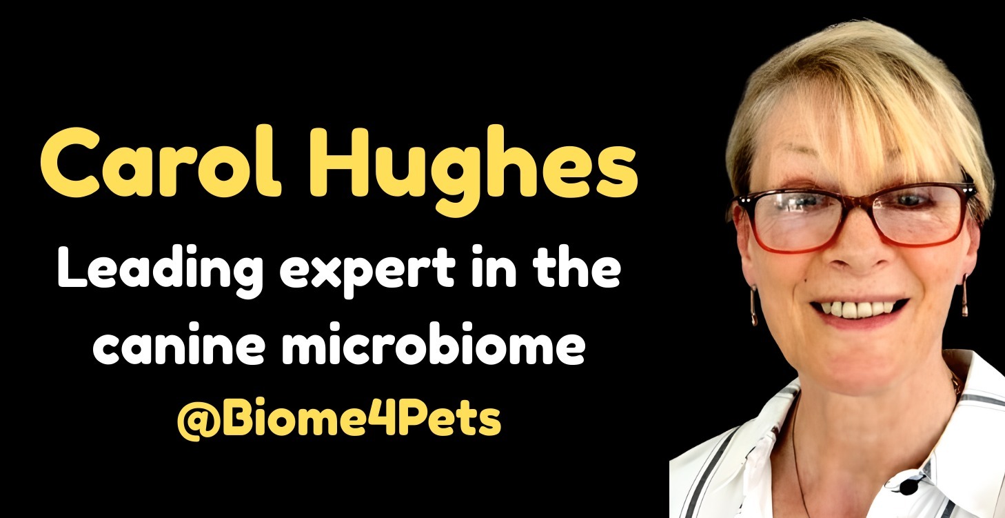 Carol Hughes - Gut Microbiologist