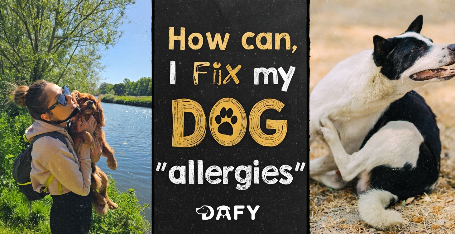 Is it a food "allergy" or sensitivity?