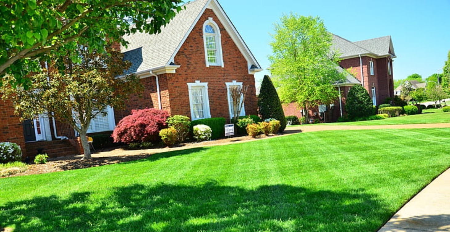 2. Basic Lawncare