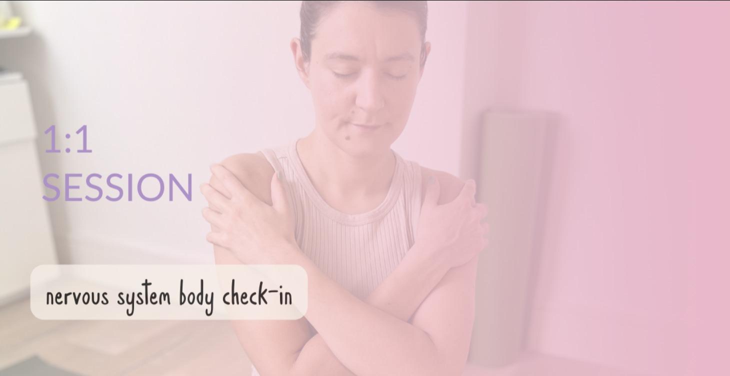 Nervous System Check-In (single 1:1 session)