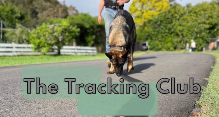 The Tracking Club