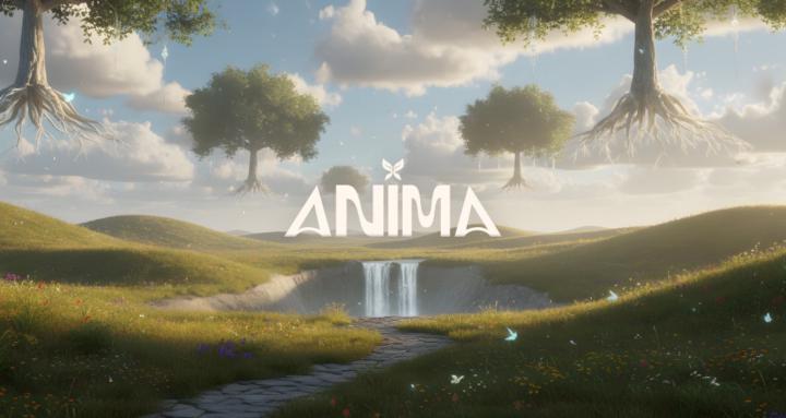 Anima Believe