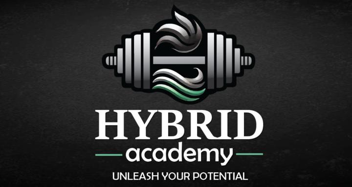 Hybrid Academy