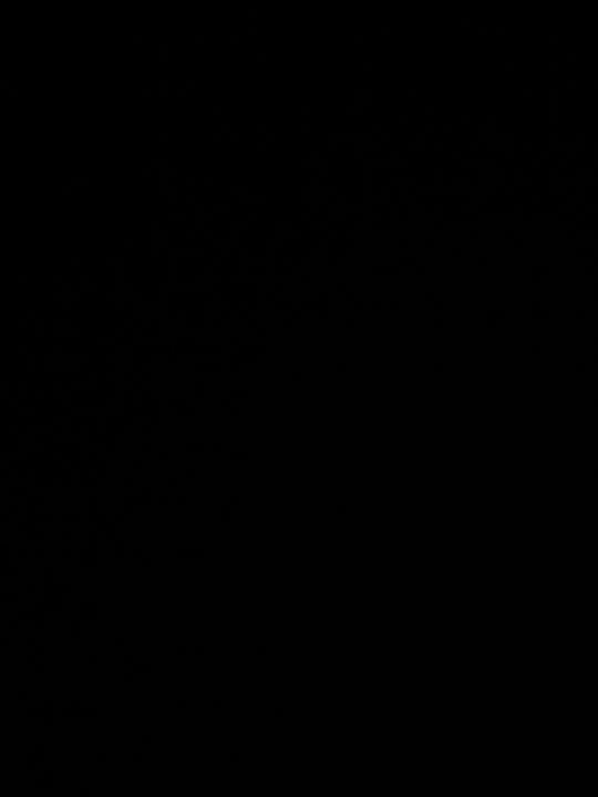 Adrián Molina Castillejo