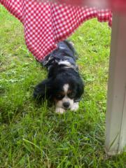 Gabrielė Ratkevičiūtė