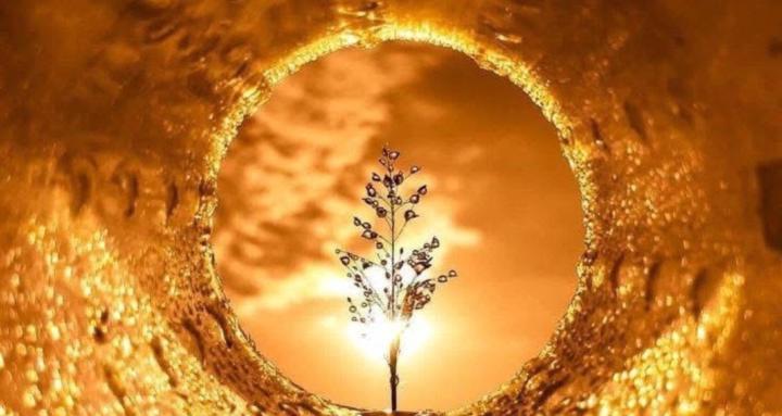 Factory of Happiness