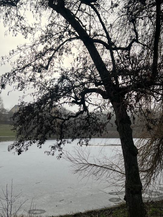 Katrine Winther Pedersen