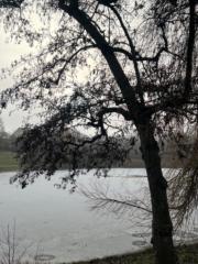 Katrine Winther Pedersen