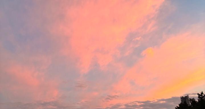 Perspective Collective