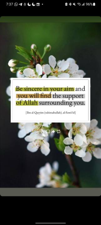 Ismahan Mohamed
