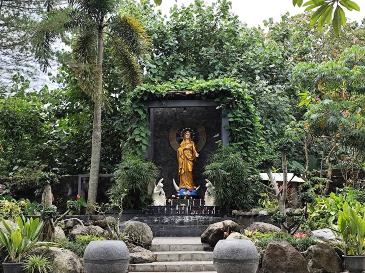 Vanda Ardhiyani