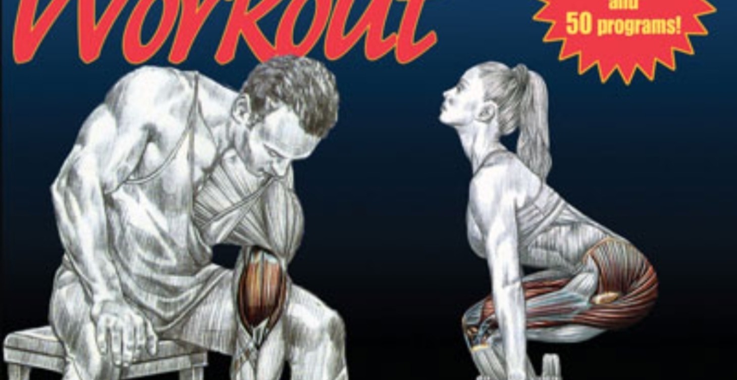 Strength training anatomy 💪🏻 🔥