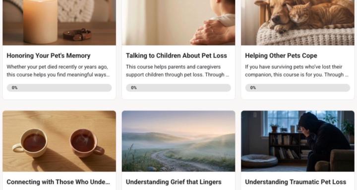PetPath Support Community