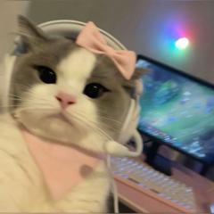 Felis Catus
