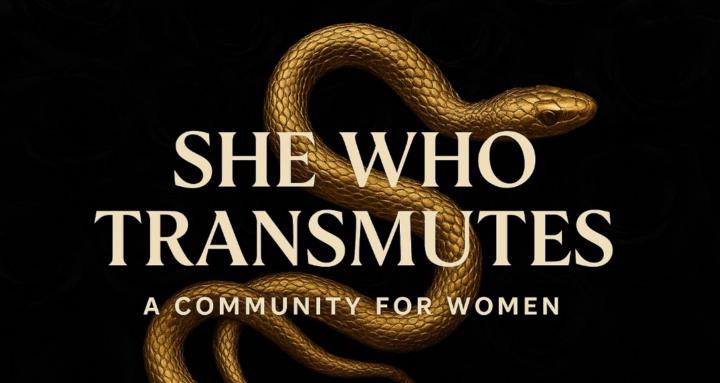 SHE WHO TRANSMUTES