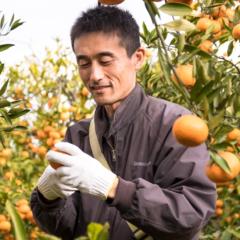 岡戸 謙始