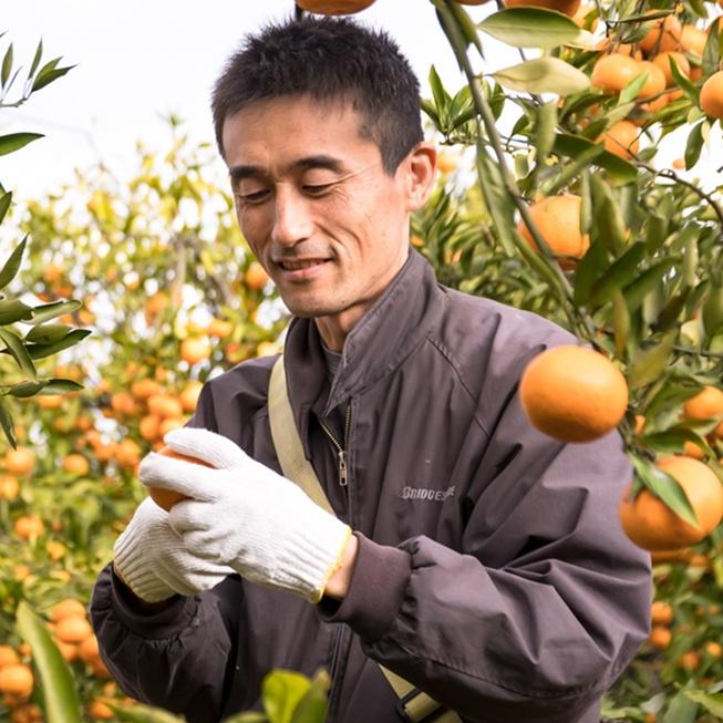 岡戸 謙始