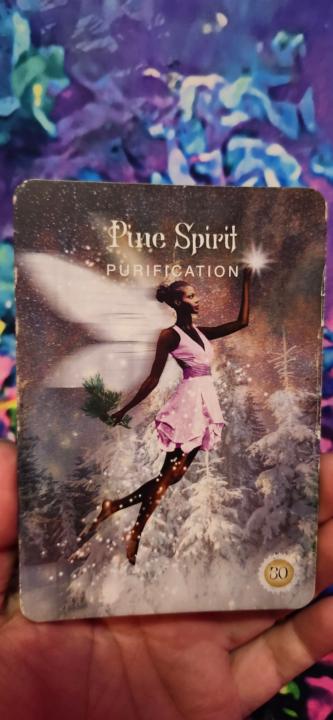 Daily Energy Card — Sunday, Nov 16, 2025