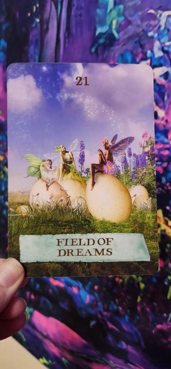  Daily Energy Card — Thursday, Nov 20, 2025