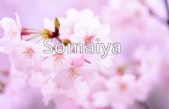 Somaiya Islam