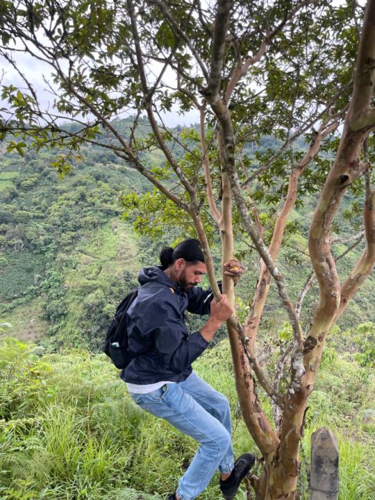 Wilfer Lopez
