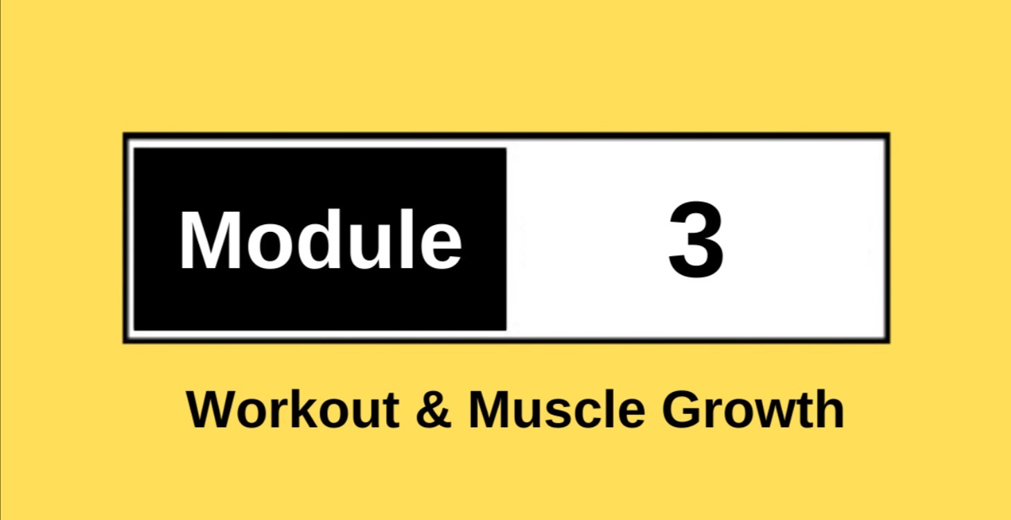 Workout & Muscle Growth