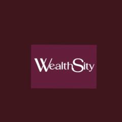 WealthSity Admin