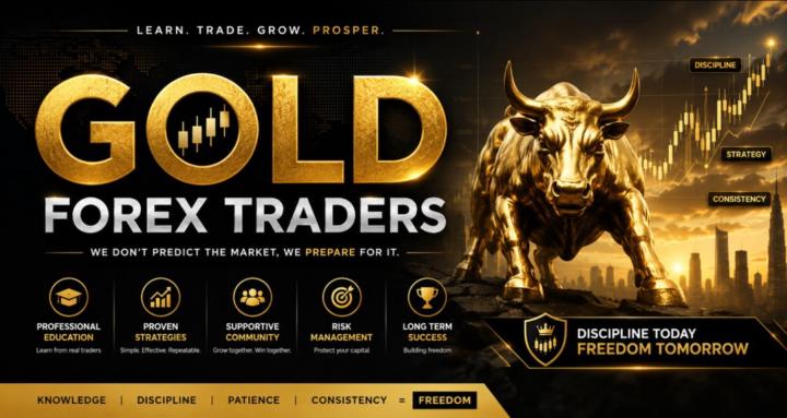GOLD FOREX TRADERS