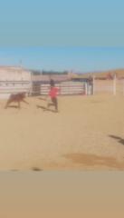 Álvaro Macias Ramos