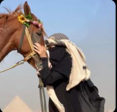 Warda Fatima
