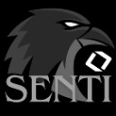 Senti Academy