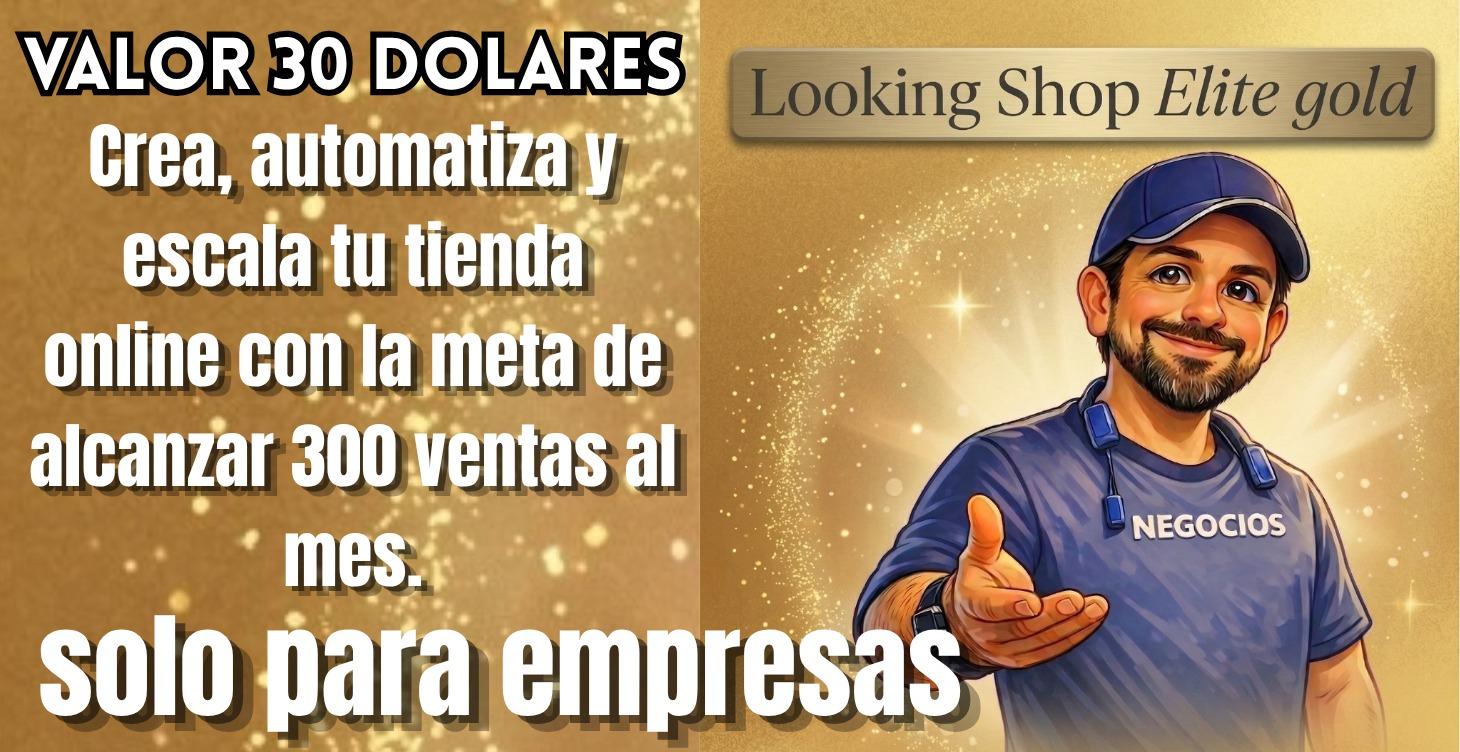 Looking shop Master PRO
