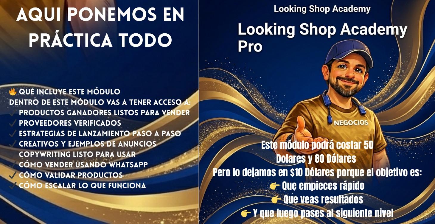 Looking shop academia Pro