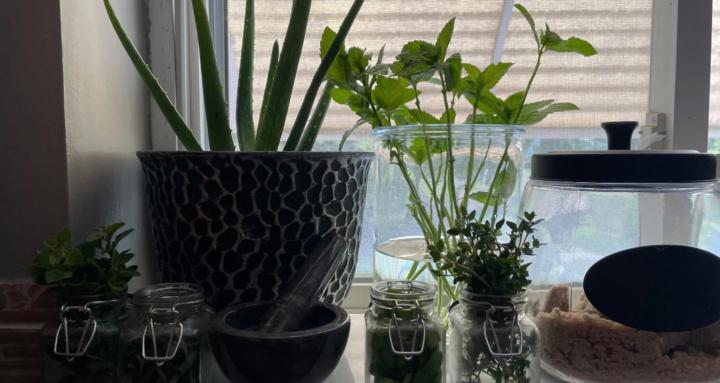 Garden Gatherers-Society