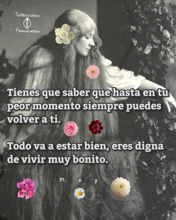 Sanidad y Autococepto: 