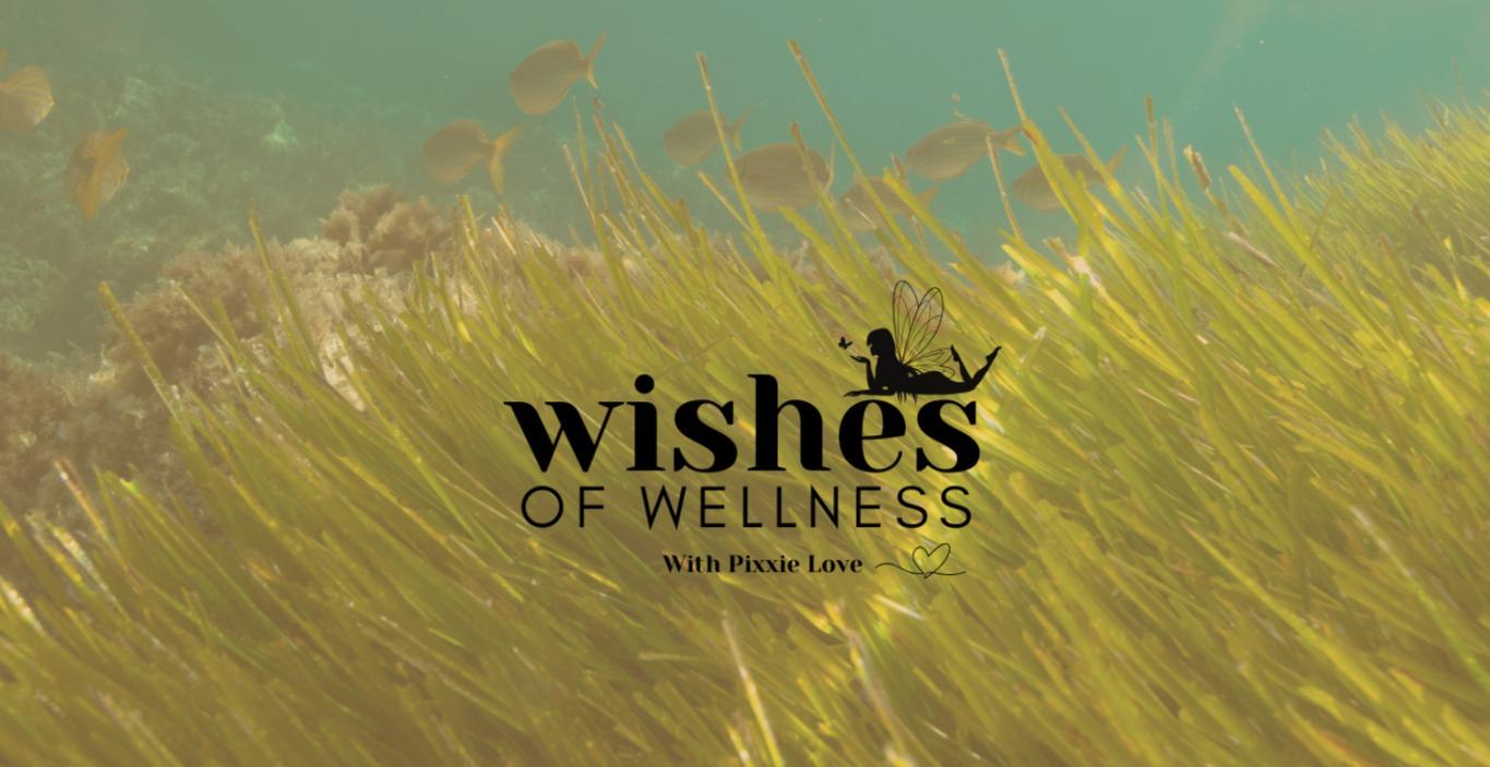 Wishes of Wellness