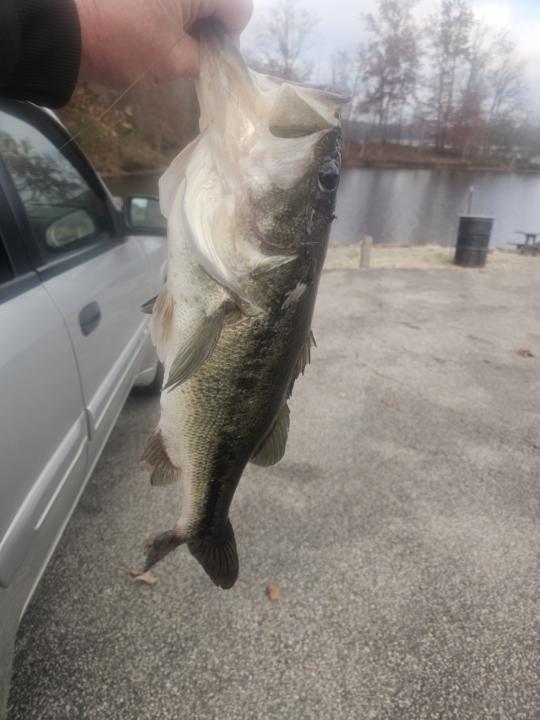 Just a couple from last year.