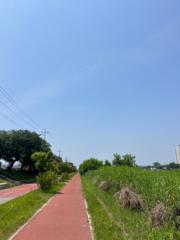 운희 조