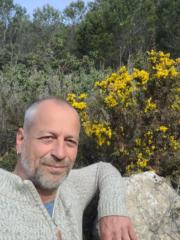 Steffen Costabel