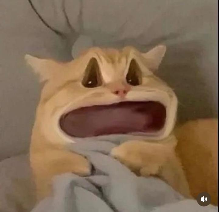 William Evan Budiawan