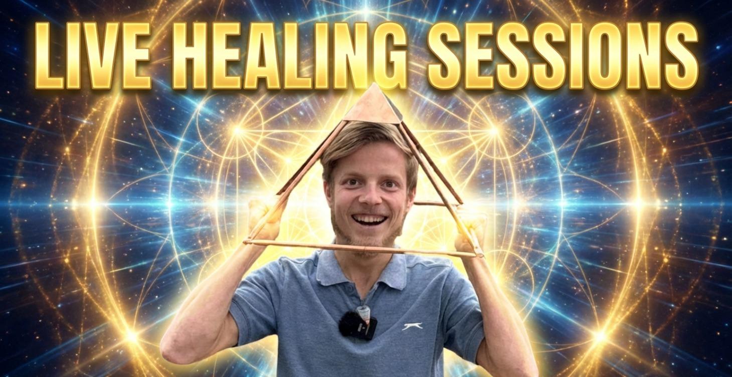 Experienced Healers In Proces Live