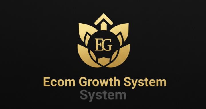 Ecom Growth System