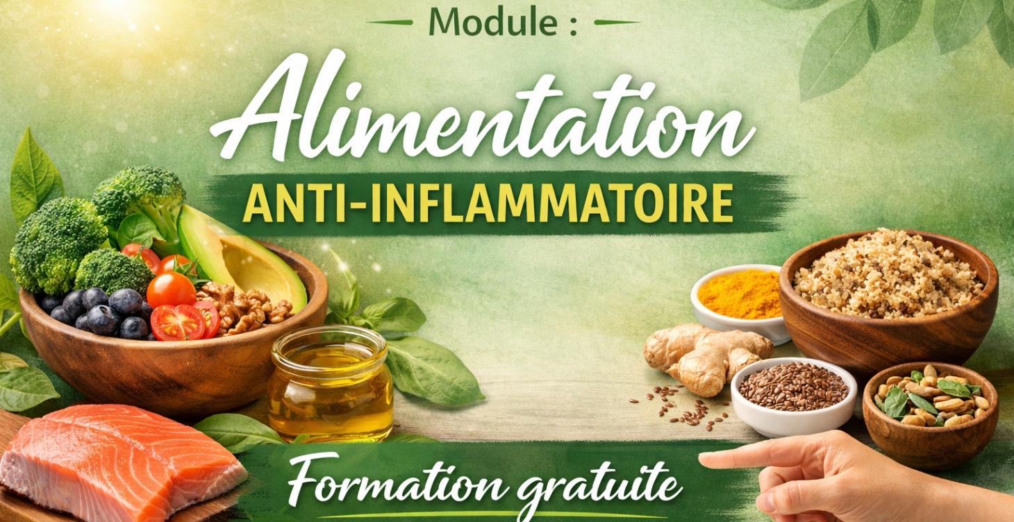 Formation gratuite alimentation anti-inflammatoire